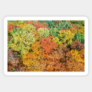 Aerial top down landscape of beautiful colorful autumn forest Sticker